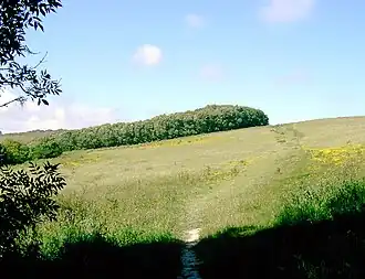 Path ascending Mount Carvey from Findon Valley