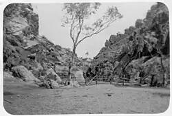 The stock fence on the northern side of the Gap, 1941