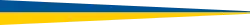 Swedish pennant