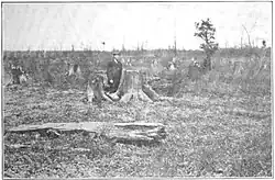 Black and white image of a man standing in a wasteland of massive tree stumps that stretch to the horizon. A few small trees are still standing.
