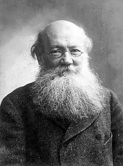 Image 13Russian scientist Peter Kropotkin first proposed the idea of fresh water under Antarctic ice. (from Subglacial lake)