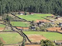Houses in Semchubara