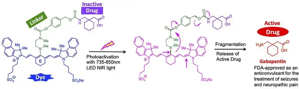 Diagram showing an example of a photocage release system