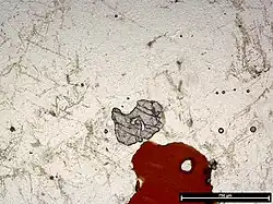 Garnet and biotite in an S-type granite