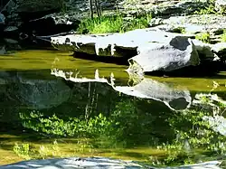 Rock formation in Piney Creek Ravine