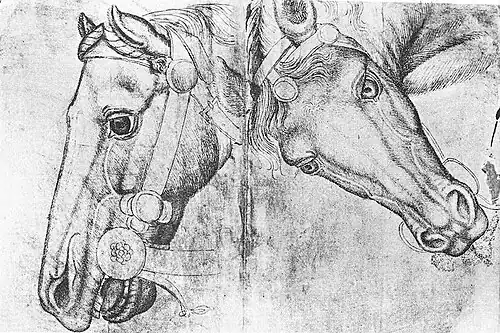 Studies of Horses