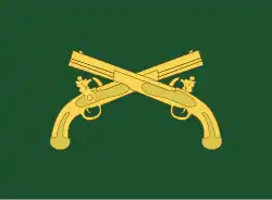 Flag of the United States Army Provost Marshal General