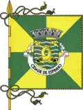 Flag of City of Espinho
