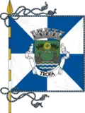 Flag of Trofa