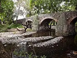 Bridge of Tlautla.