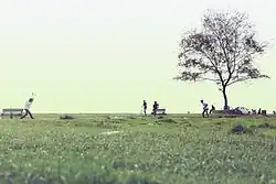 Cricket at Puthyvypin Beach