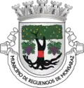 Coat of arms of Municipality of Reguengos de Monsaraz