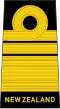 Vice admiral