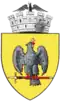Coat of arms of Curtea de Argeș
