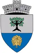 Coat of arms of Curtești