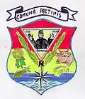 Coat of arms of Păltiniș