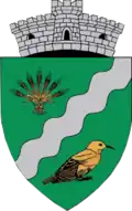 Coat of arms of Runcu
