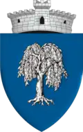 Coat of arms of Salcia