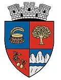Coat of arms of Negrești-Oaș