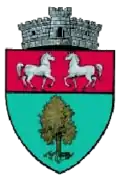 Coat of arms of Calafindești
