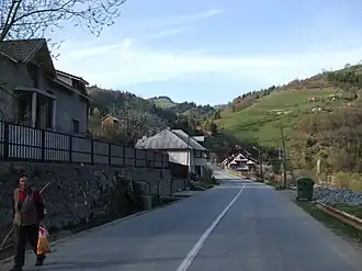 Vadu Moților village