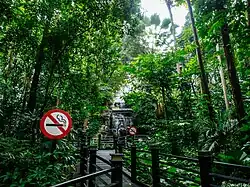 Photograph of a wooden walkway in a jungle with two people observing a waterfall