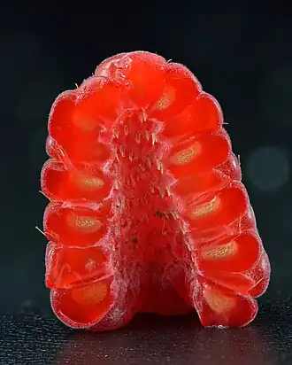 Halved raspberry
