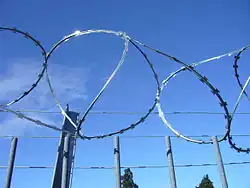 Medium barb razor wire