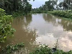 The canal on the right side of Gunahar Zamindar Palace
