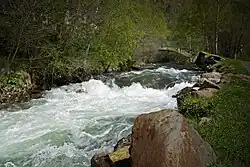 The Valira d'Ordino river in Llorts