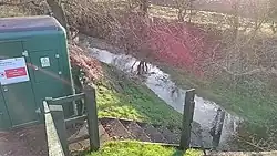 River Kennett at Ousden Gauging Station, December 2019