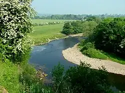 River Swale near Brompton-on-Swale