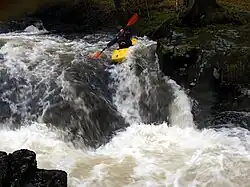 Kayaking on the Tavy.