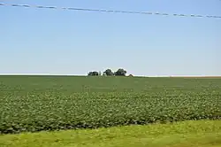 Fields on Illinois Routes 116/117