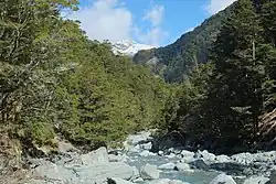 A U-shaped valley with a stream running down through the valley, with a dense native forest along its banks.