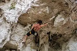 Kiokong White Rock Wall