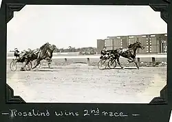 Rosalind leading two other horses at the finish line