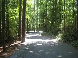 Walking/running trail
