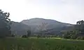 Cornfield near Runcu with the Tufoaia Mountain in the background