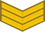 Sergeant (South African Army)[93]