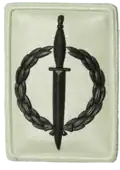 SA Special Forces Operator's Badge