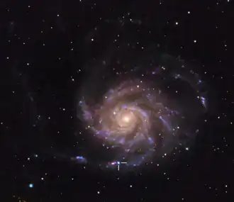 Type II supernova SN 2023ixf from May 2023