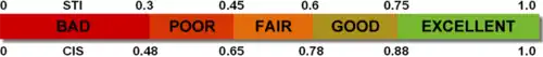 STI CIS Scale.