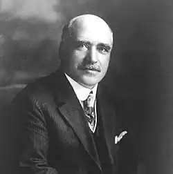 Samuel Wallin, Mayor of Amsterdam, Congressman from New York