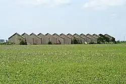 The ruins of the Sangamon Ordnance Plant, closed following World War II, lie west of Illiopolis.