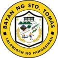 Official seal of Santo Tomas