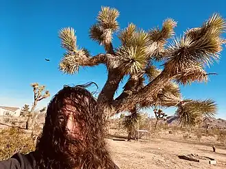 Mike Sapone in front of Joshua Tree