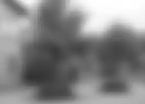 Scale-space representation '"`UNIQ--postMath-00000025-QINU`"' at scale '"`UNIQ--postMath-00000026-QINU`"'