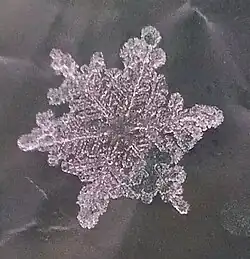 Snowflakes can turn into graupel