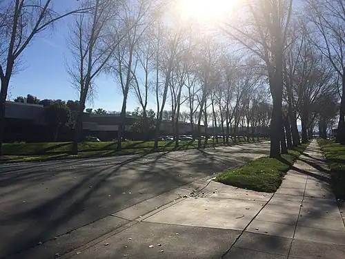 View East on Saginaw Drive